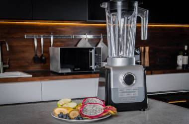 Wollmer L360 stationaire blender review